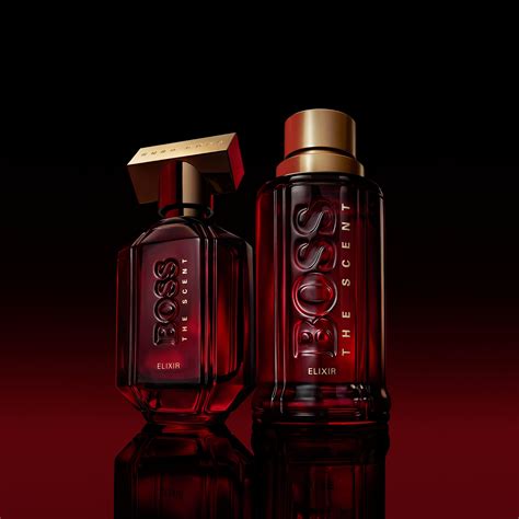 versace pour homme vs hugo boss the scent